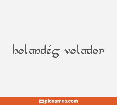 Holandés Volador